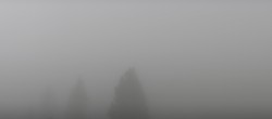 Archived image Webcam Black Forest - Brend Tower 17:00