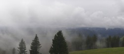 Archiv Foto Webcam Schwarzwald - Brendturm 13:00