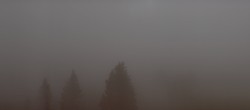Archiv Foto Webcam Schwarzwald - Brendturm 19:00