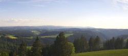 Archiv Foto Webcam Schwarzwald - Brendturm 17:00
