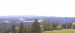 Archiv Foto Webcam Schwarzwald - Brendturm 12:00