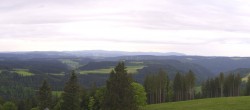 Archiv Foto Webcam Schwarzwald - Brendturm 13:00