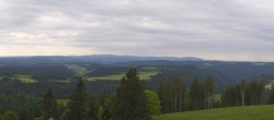 Archiv Foto Webcam Schwarzwald - Brendturm 14:00