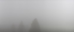 Archived image Webcam Black Forest - Brend Tower 05:00
