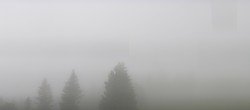 Archived image Webcam Black Forest - Brend Tower 07:00