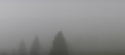 Archived image Webcam Black Forest - Brend Tower 09:00