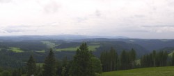 Archiv Foto Webcam Schwarzwald - Brendturm 13:00