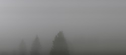 Archiv Foto Webcam Schwarzwald - Brendturm 09:00