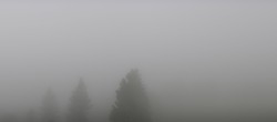 Archiv Foto Webcam Schwarzwald - Brendturm 11:00