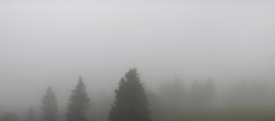 Archiv Foto Webcam Schwarzwald - Brendturm 13:00