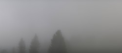 Archiv Foto Webcam Schwarzwald - Brendturm 17:00