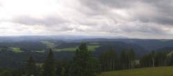 Archiv Foto Webcam Schwarzwald - Brendturm 11:00