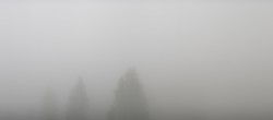 Archiv Foto Webcam Schwarzwald - Brendturm 05:00