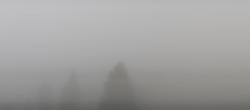 Archiv Foto Webcam Schwarzwald - Brendturm 06:00