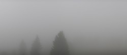 Archiv Foto Webcam Schwarzwald - Brendturm 07:00