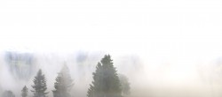 Archiv Foto Webcam Schwarzwald - Brendturm 05:00