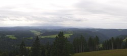 Archiv Foto Webcam Schwarzwald - Brendturm 11:00