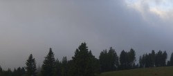 Archived image Webcam Black Forest - Brend Tower 05:00