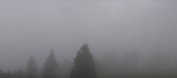 Archived image Webcam Black Forest - Brend Tower 06:00
