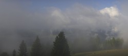 Archived image Webcam Black Forest - Brend Tower 07:00