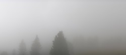 Archiv Foto Webcam Schwarzwald - Brendturm 09:00