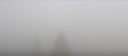 Archived image Webcam Black Forest - Brend Tower 06:00