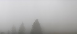 Archiv Foto Webcam Schwarzwald - Brendturm 11:00