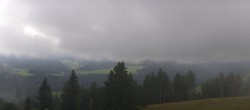 Archiv Foto Webcam Schwarzwald - Brendturm 13:00