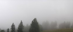 Archiv Foto Webcam Schwarzwald - Brendturm 15:00