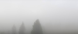 Archiv Foto Webcam Schwarzwald - Brendturm 06:00