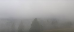 Archiv Foto Webcam Schwarzwald - Brendturm 07:00