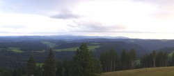 Archived image Webcam Black Forest - Brend Tower 19:00