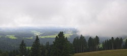 Archiv Foto Webcam Schwarzwald - Brendturm 09:00