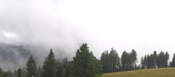 Archiv Foto Webcam Schwarzwald - Brendturm 15:00