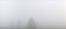 Archiv Foto Webcam Schwarzwald - Brendturm 19:00