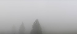 Archiv Foto Webcam Schwarzwald - Brendturm 06:00