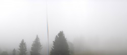 Archiv Foto Webcam Schwarzwald - Brendturm 07:00