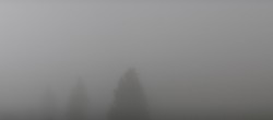 Archiv Foto Webcam Schwarzwald - Brendturm 09:00