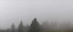 Archiv Foto Webcam Schwarzwald - Brendturm 11:00