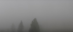 Archiv Foto Webcam Schwarzwald - Brendturm 13:00