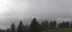 Archiv Foto Webcam Schwarzwald - Brendturm 15:00