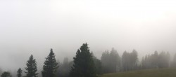 Archiv Foto Webcam Schwarzwald - Brendturm 17:00