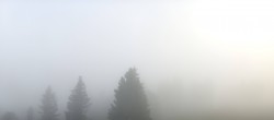 Archiv Foto Webcam Schwarzwald - Brendturm 19:00