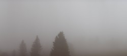 Archiv Foto Webcam Schwarzwald - Brendturm 05:00