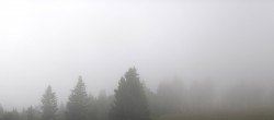 Archiv Foto Webcam Schwarzwald - Brendturm 09:00