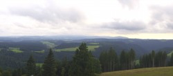 Archiv Foto Webcam Schwarzwald - Brendturm 17:00