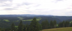 Archiv Foto Webcam Schwarzwald - Brendturm 09:00