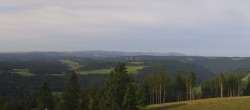 Archiv Foto Webcam Schwarzwald - Brendturm 07:00