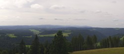 Archiv Foto Webcam Schwarzwald - Brendturm 11:00