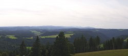 Archiv Foto Webcam Schwarzwald - Brendturm 13:00